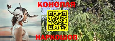 ПСИЛОЦИБИНОВЫЕ ГРИБЫ Чебоксары